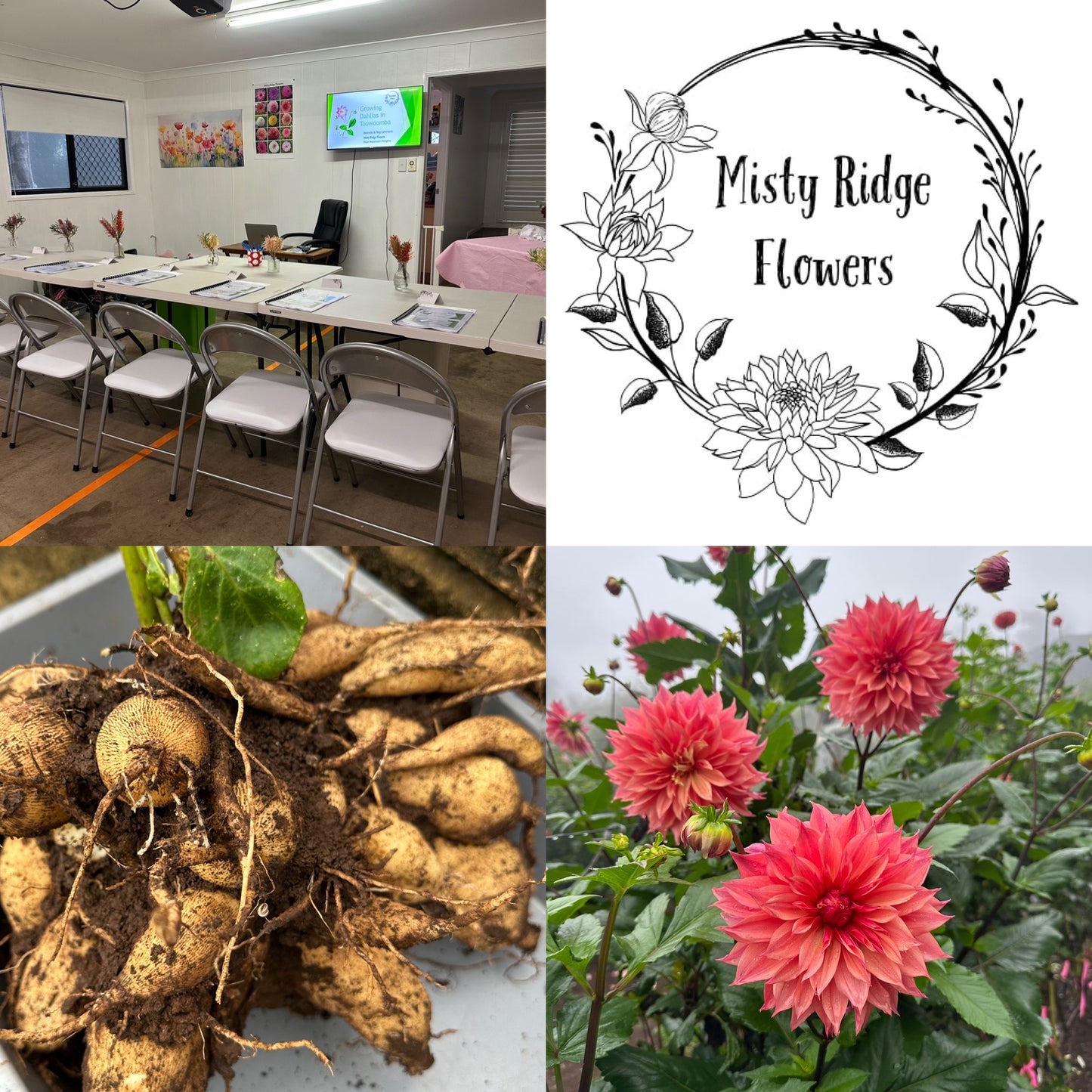 Dahlia Growing Workshop