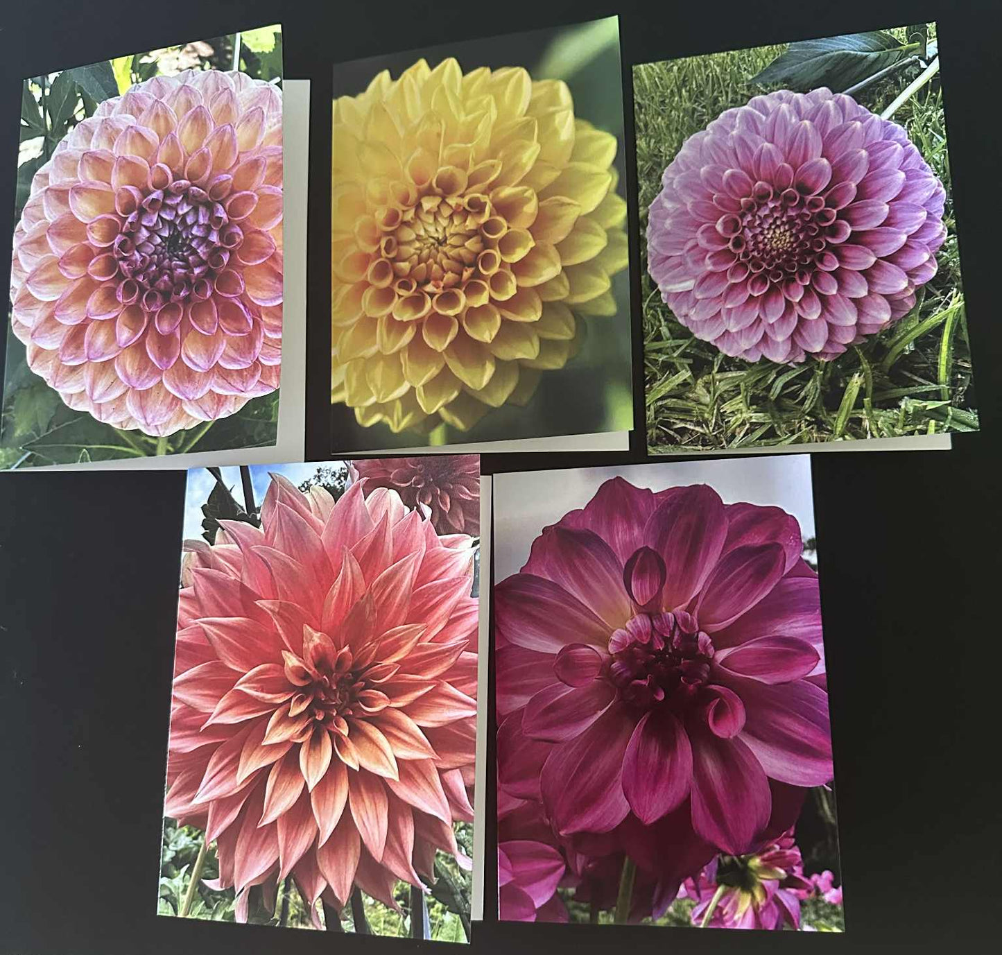 Dahlia Greeting Cards