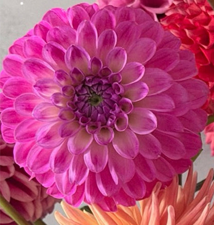 Florelie Joy