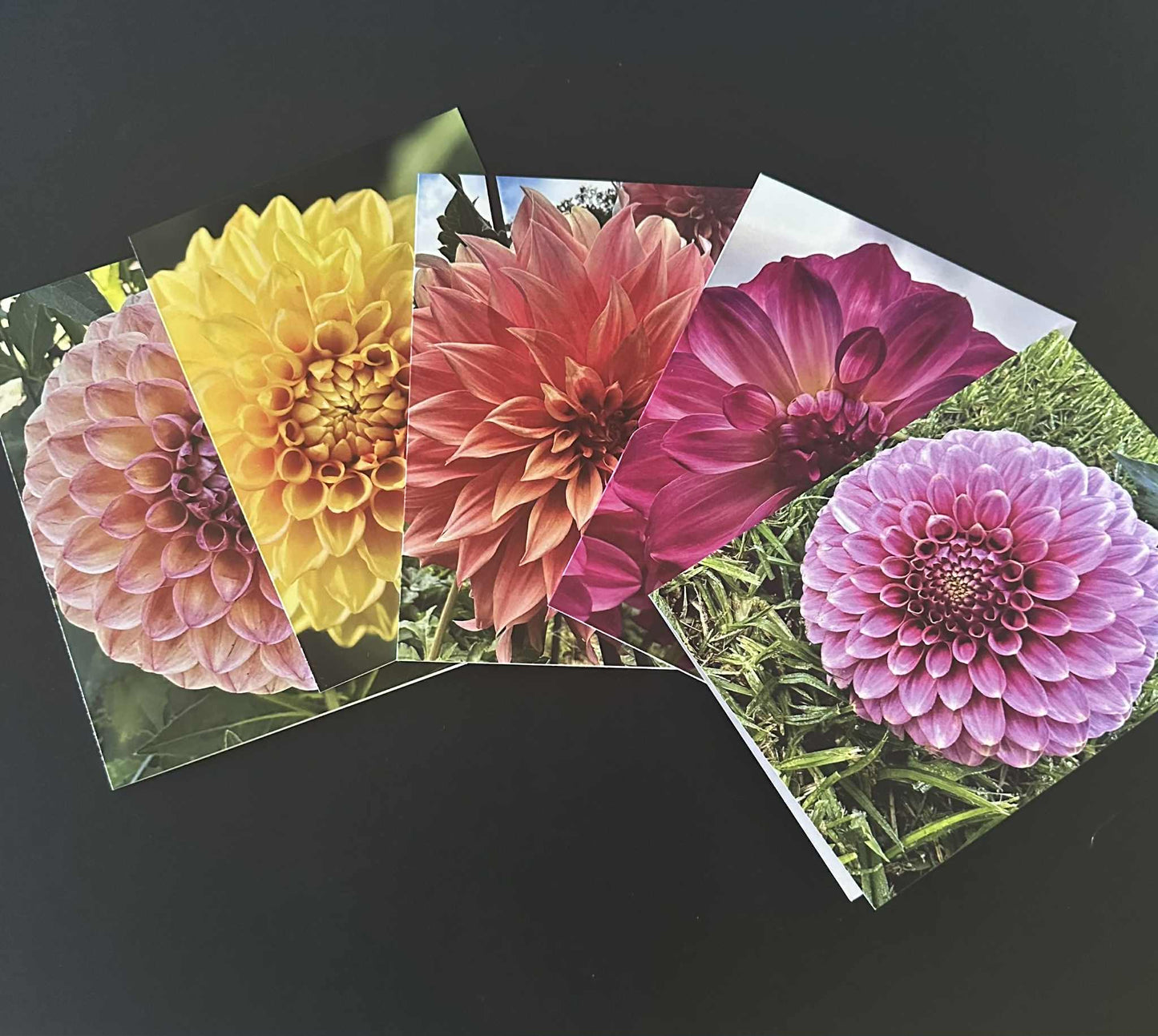 Dahlia Greeting Cards