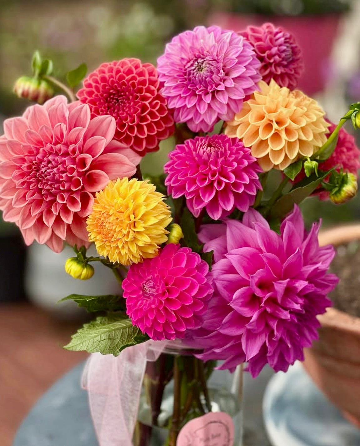 Growers Choice Buckets 20 stems