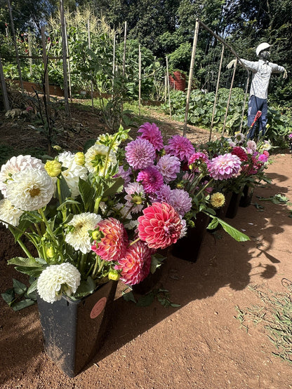Flower Stalll