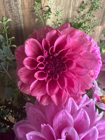 Dusty Rose
