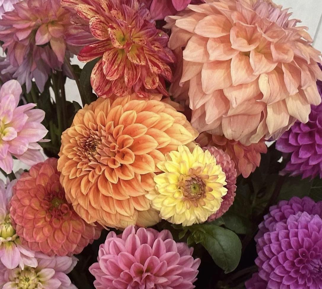 Flower Stalll