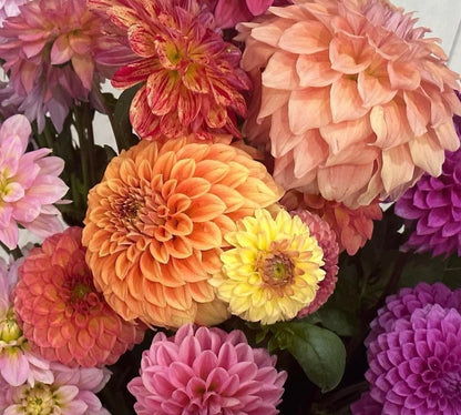 Flower Stalll